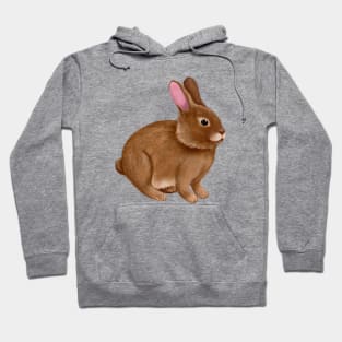 Rabbit Hoodie